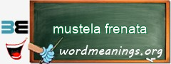 WordMeaning blackboard for mustela frenata